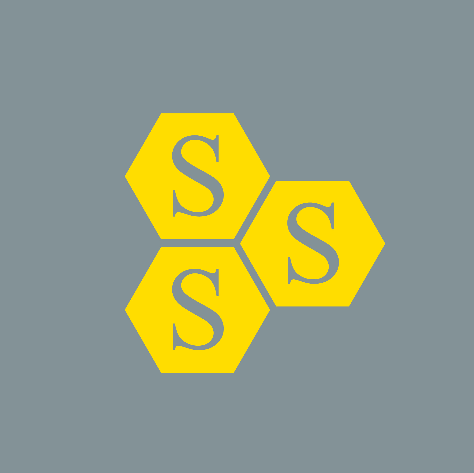 Logo Snoby Separation System LLC